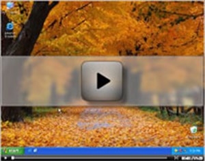 [Video] Tắt Autoplay trong Windows 10, XP