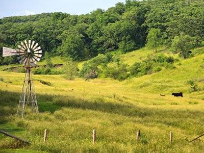 “Quả táo khuyết” Apple giàu có đến mức nào?