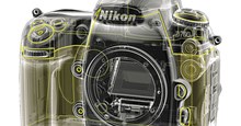Nikon D800 có thể mang cảm biến 36 Megapixel