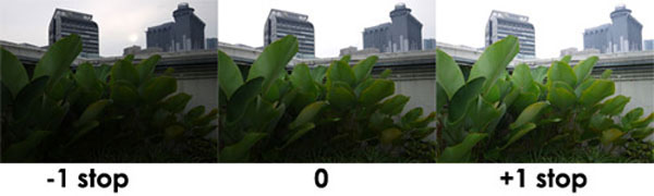 Tự học chụp ảnh - Bù sáng