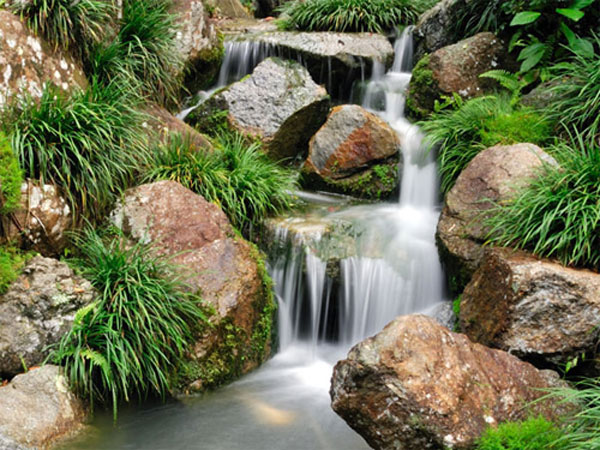 Tự học chụp ảnh - Tốc độ cửa trập