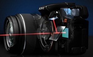Sony cũng sẽ có máy full-frame 36 'chấm' như Nikon
