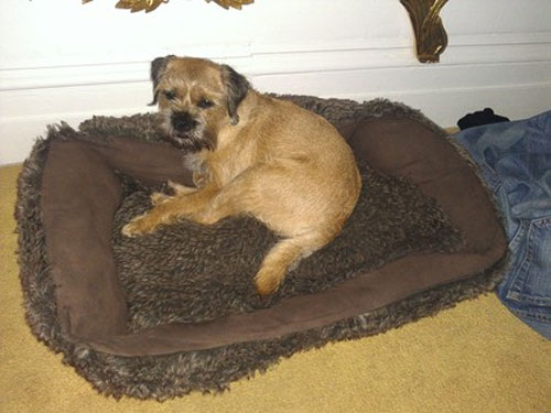 HTC Titan: Màn hình cực lớn cùng thiết kế mỏng ấn tượng