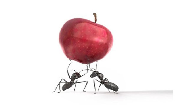Điểm yếu lớn nhất của Apple là dữ liệu
