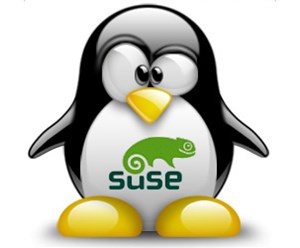 Sử dụng CGI Script với Nginx trên OpenSUSE 11.4 
