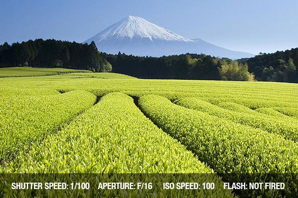 Mẹo "đơn giản nhưng hữu ích" trong nhiếp ảnh Top 10 mẹo "đơn giản nhưng hữu ích" trong nhiếp ảnh