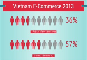 Thống kê sơ bộ ngành thương mại điện tử ở Việt Nam năm 2013