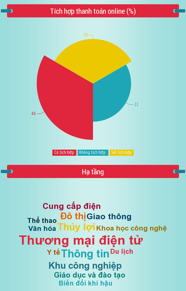 Thống kê sơ bộ ngành thương mại điện tử ở Việt Nam năm 2013