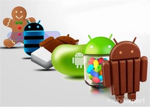 KitKat và Jelly Bean thống trị Android: hơn 80% người dùng