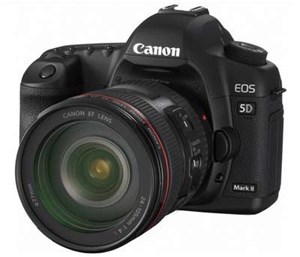 Ảnh chụp bởi Canon 5D Mark II bị chấm đen