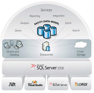 Giới thiệu về SQL Server Reporting Services