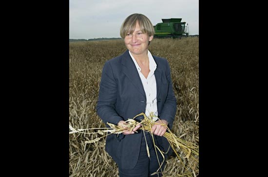 Những scandal chấn động năm 2011 của giới tỷ phú