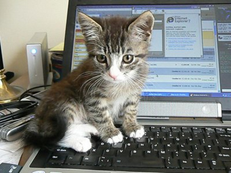 9 xu hướng công nghệ của năm 2013 