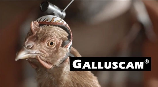 Nhìn lại những điểm nóng của làng điện thoại 2013