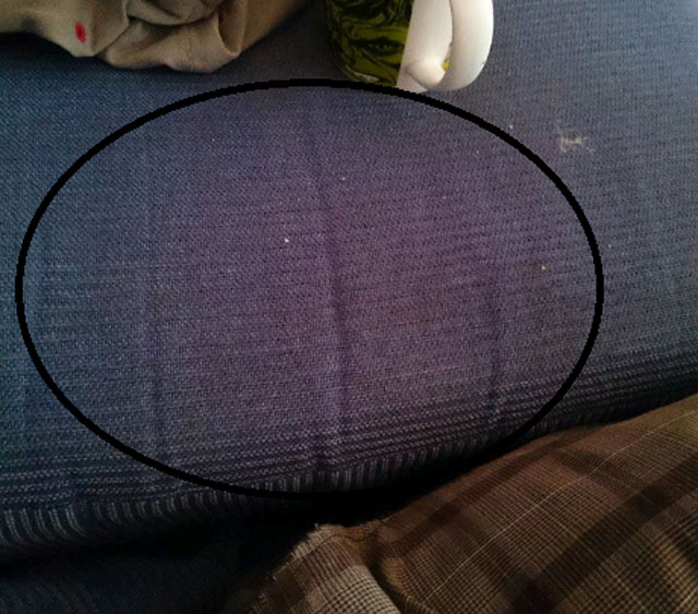 Sony Xperia Z3 Sony vẫn chưa khắc phục lỗi hồng tâm trên camera Xperia Z3