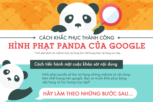 Khắc phục tình trrang phạt Panda của Google Infographic cách khắc phục hình phạt Panda của Google