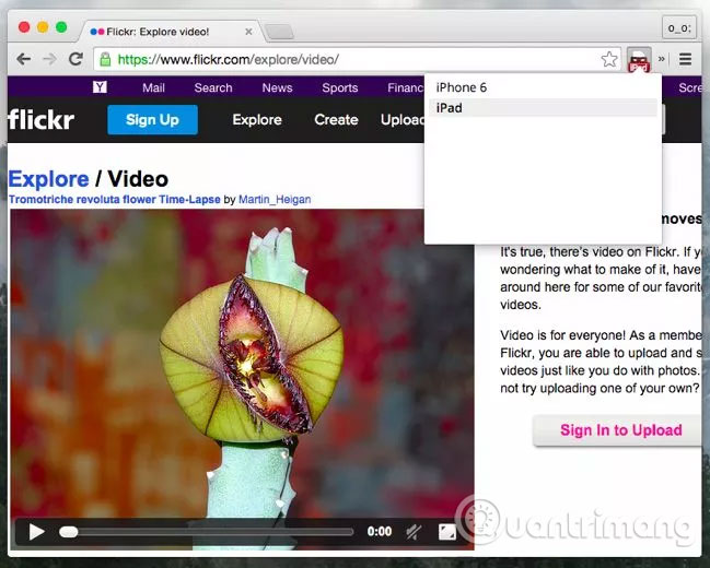 Làm thế nào để xem video trên web sau khi đã gỡ Flash Xem video trên Flick