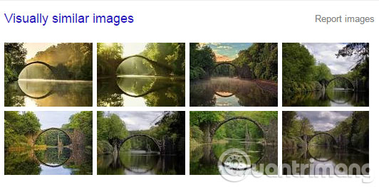 Những bức ảnh tương tự nhau mà Google Image tìm được