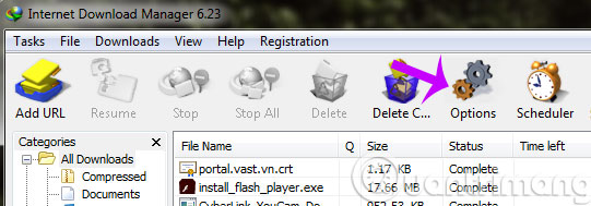 Mở trình duyệt Internet Download Manager (IDM) lên, chọn thẻ "Options".