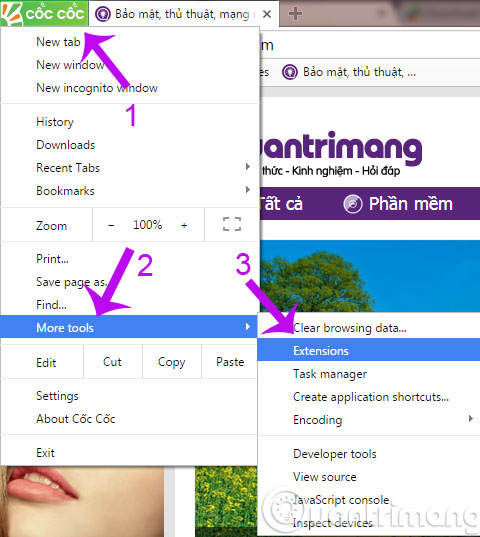 Chọn Extensions