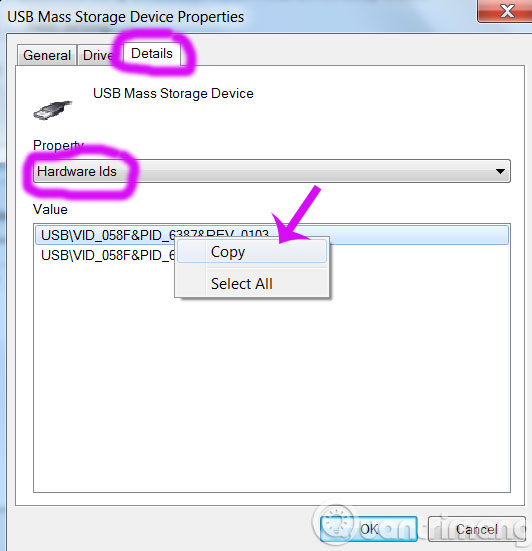 Copy giá trị của USB