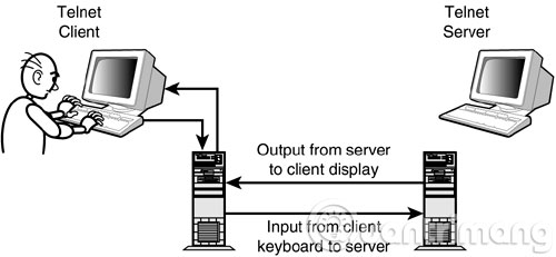 Kết nối Telnet