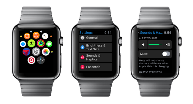 Hướng dẫn cách điều chỉnh âm lượng trên đồng hồ Apple Watch