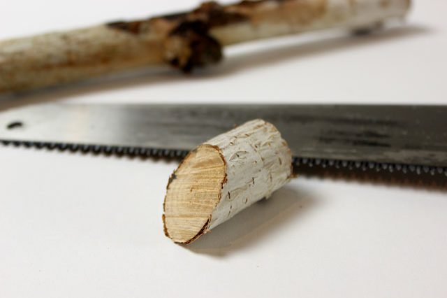 Phần đầu tuần lộc