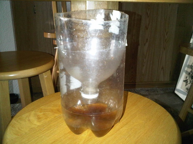 Diệt ruồi đơn giản với giấm táo