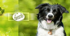 Cùng trải nghiệm ứng dụng vui Fetch - What is your dog?