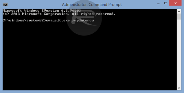 Command Prompt 