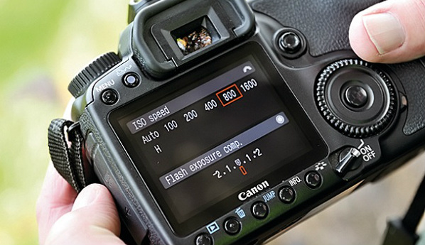 Thông số máy ảnh cần biết Thuật ngữ chụp ảnh