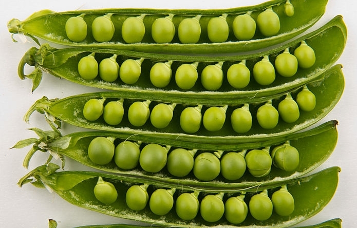 Thực phẩm tốt cho sức khỏe