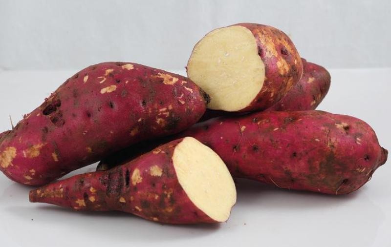 Chế độ ăn hợp lý