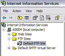 Default FTP Site