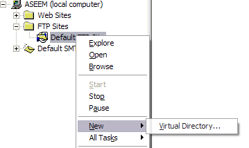  Virtual Directory