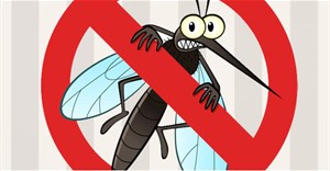 Cách đuổi muỗi phòng chống sốt xuất huyết, virus Zika