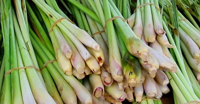 Sử dụng nguyên liệu đuổi muỗi có sẵn, an toàn trong gia đình