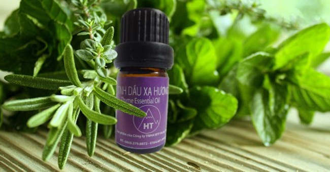 Sử dụng nguyên liệu đuổi muỗi có sẵn, an toàn trong gia đình