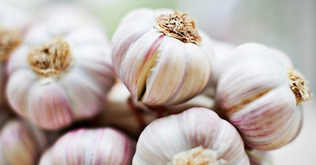 Sử dụng nguyên liệu đuổi muỗi có sẵn, an toàn trong gia đình