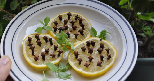 Sử dụng nguyên liệu đuổi muỗi có sẵn, an toàn trong gia đình