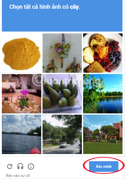 Câu hỏi bảo mật tạo tài khoản Twitch TV để streaming Video với BlueStacks