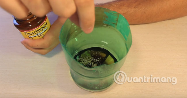 Hướng dẫn làm bẫy bắt muỗi siêu hiệu quả