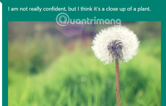 Diễn giải nội dung ảnh với CaptionBot của Microsoft