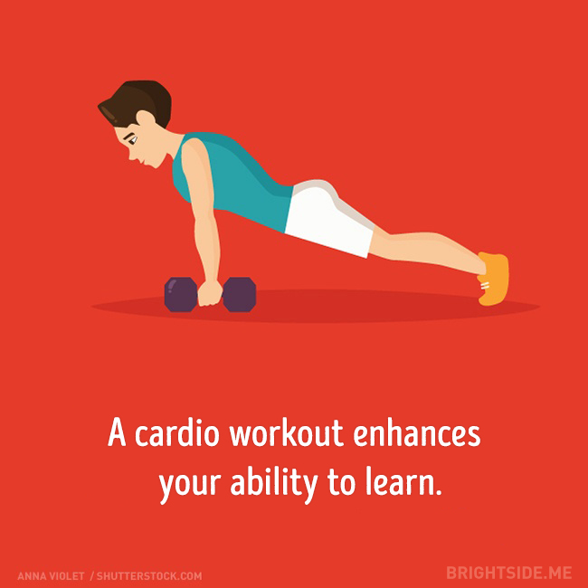 Tập cardio Tập cardio