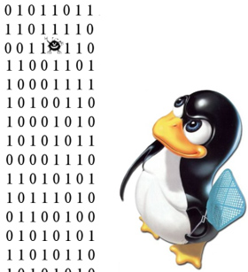 Tìm hiểu về Linux Kernel và những chức năng chính của chúng