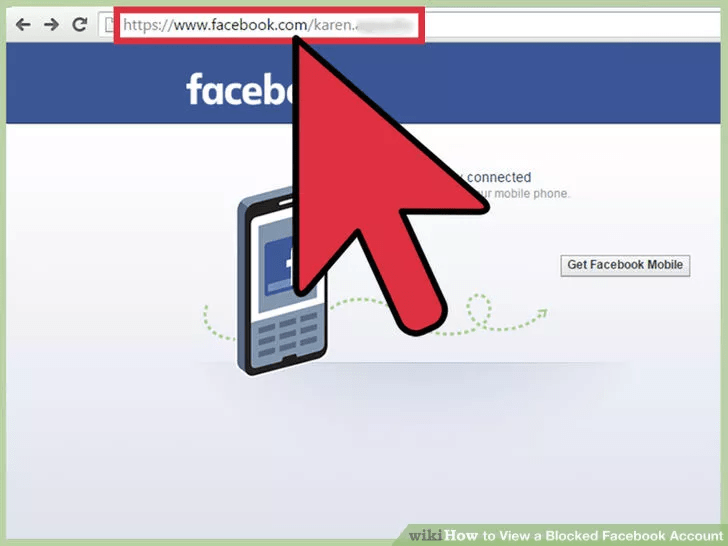  Nhập trực tiếp URL hoặc vanity URL trang Facebook bạn muốn xem
