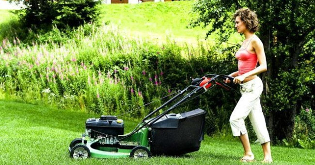 Bài tập vận động 