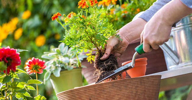 Bài tập vận động 