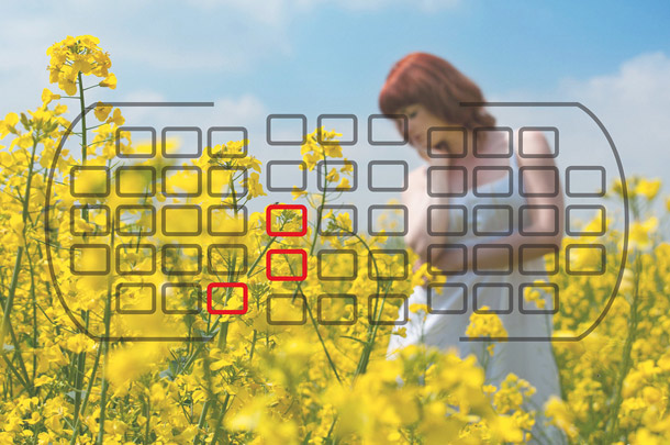 Kiểm tra lấy nét tự động  Cách chọn ống kính cũ hiệu quả